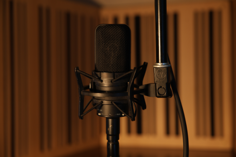 vocal